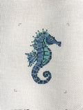 Cerulean Seahorse-18M