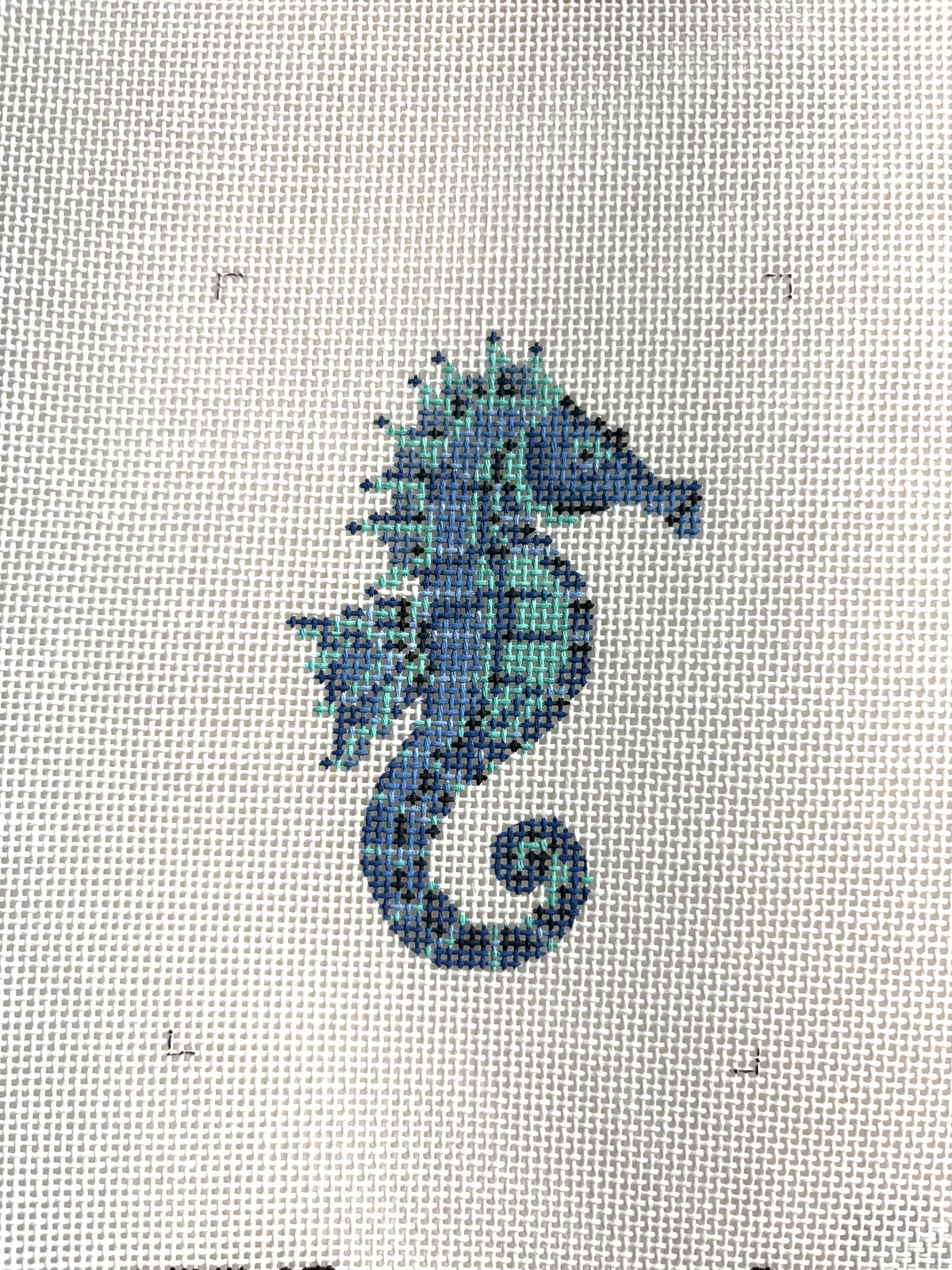Cerulean Seahorse-18M