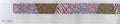 Wilde Animal Belt-18M