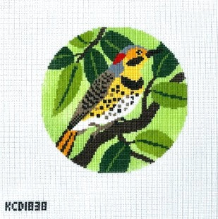 Flicker Bird-18M