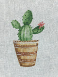 Cactus With Flower Right