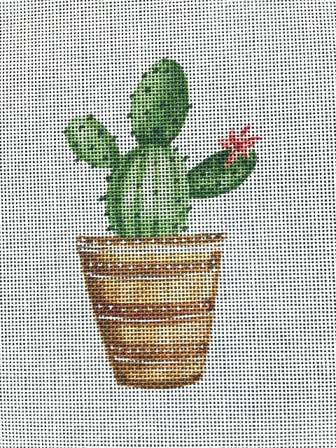 Cactus With Flower Right
