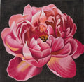 Vivid Floral