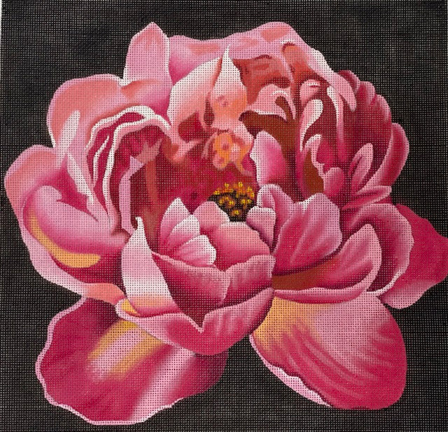 Vivid Floral
